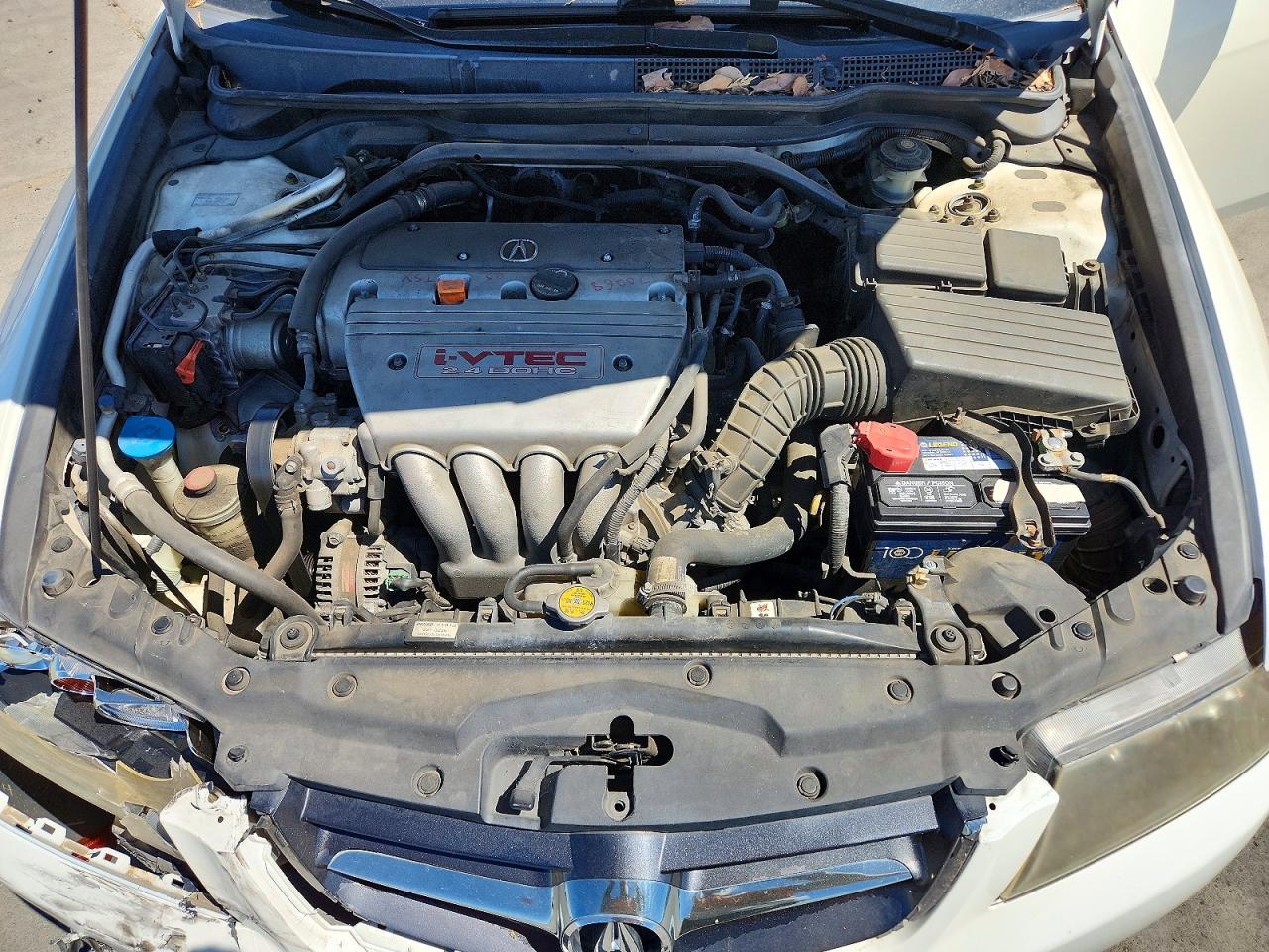 2004 Acura Tsx White vin: JH4CL96984C042840