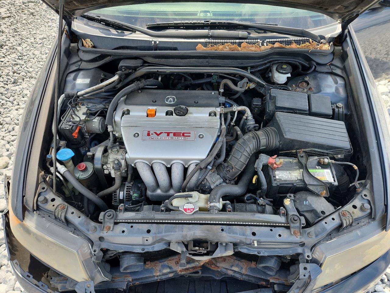 2006 Acura Tsx Gray vin: JH4CL96986C016273
