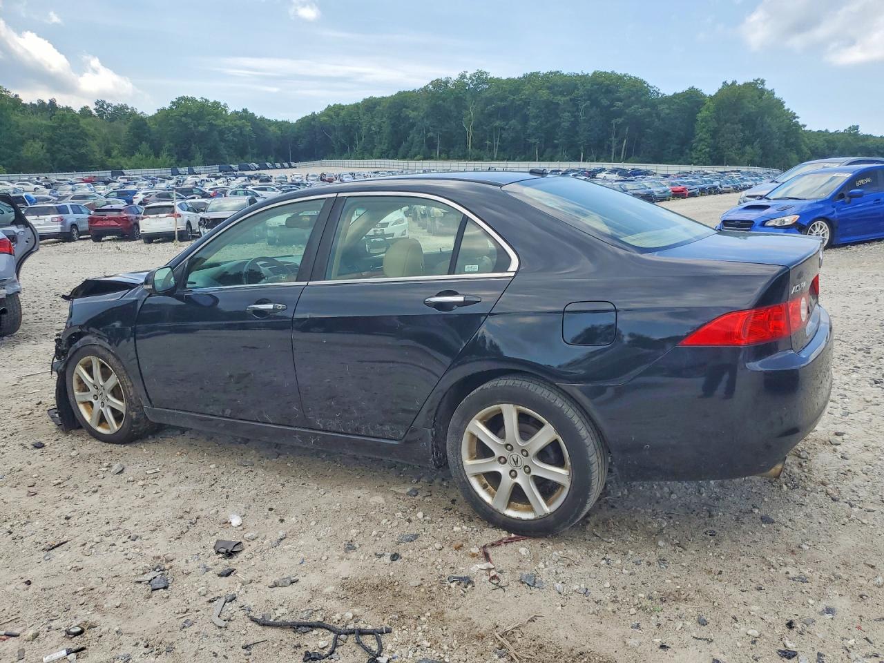 2005 Acura Tsx Black vin: JH4CL96995C020038
