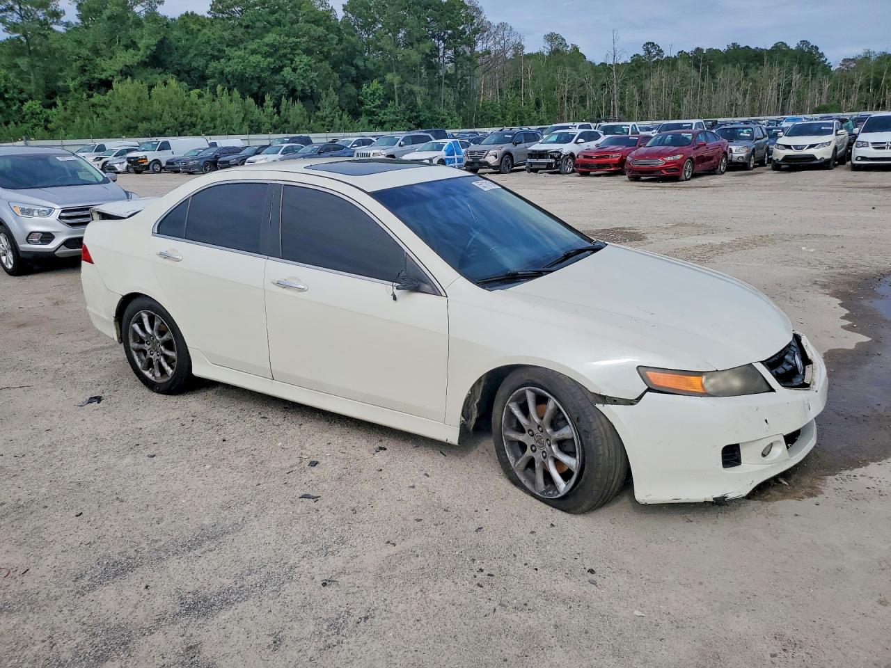 2006 Acura Tsx White vin: JH4CL96996C022227