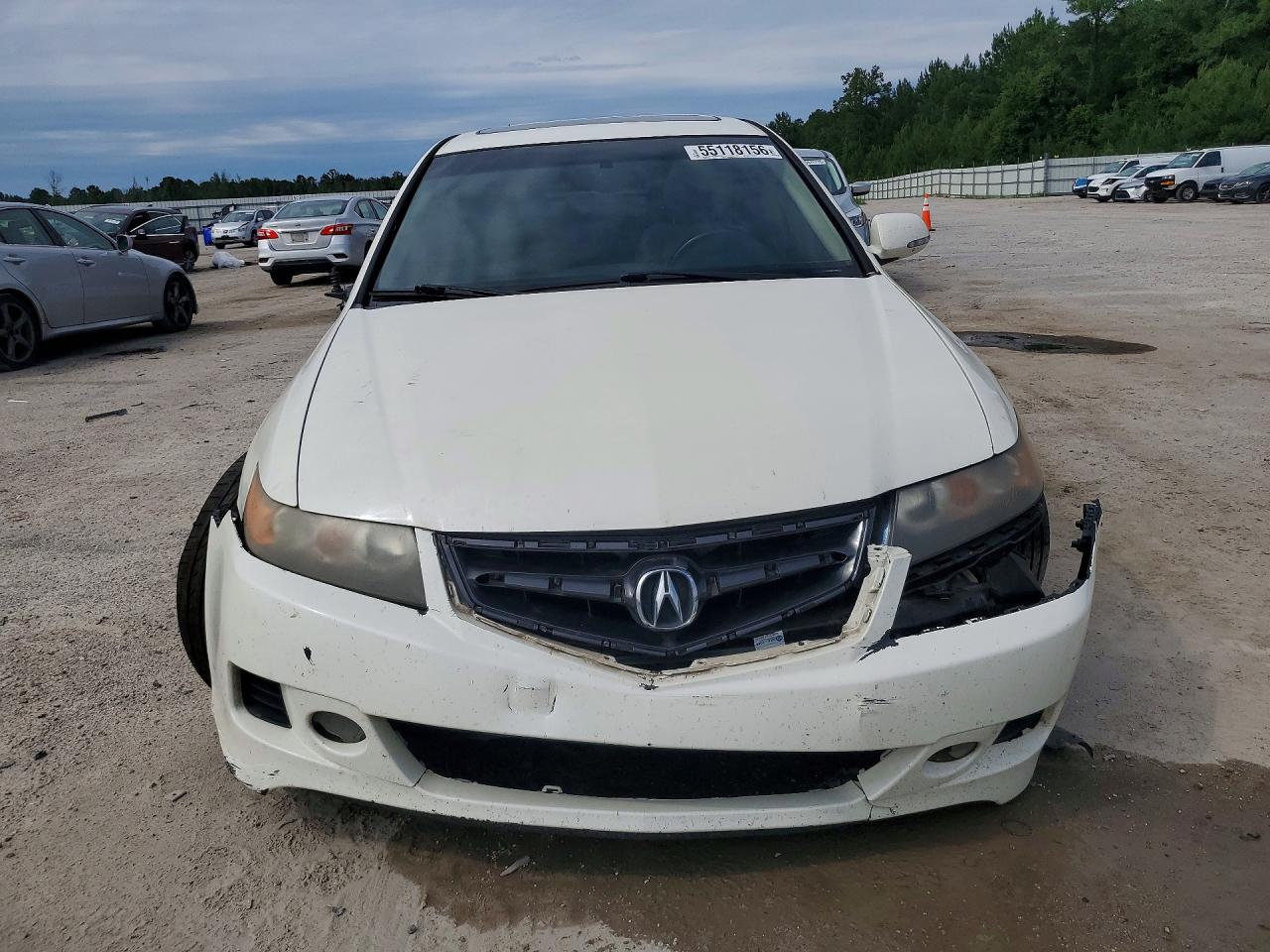 2006 Acura Tsx White vin: JH4CL96996C022227