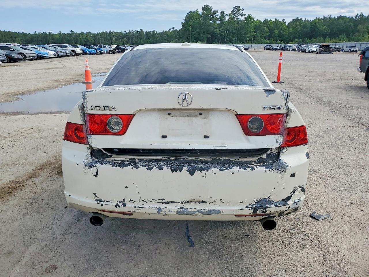 2006 Acura Tsx White vin: JH4CL96996C022227