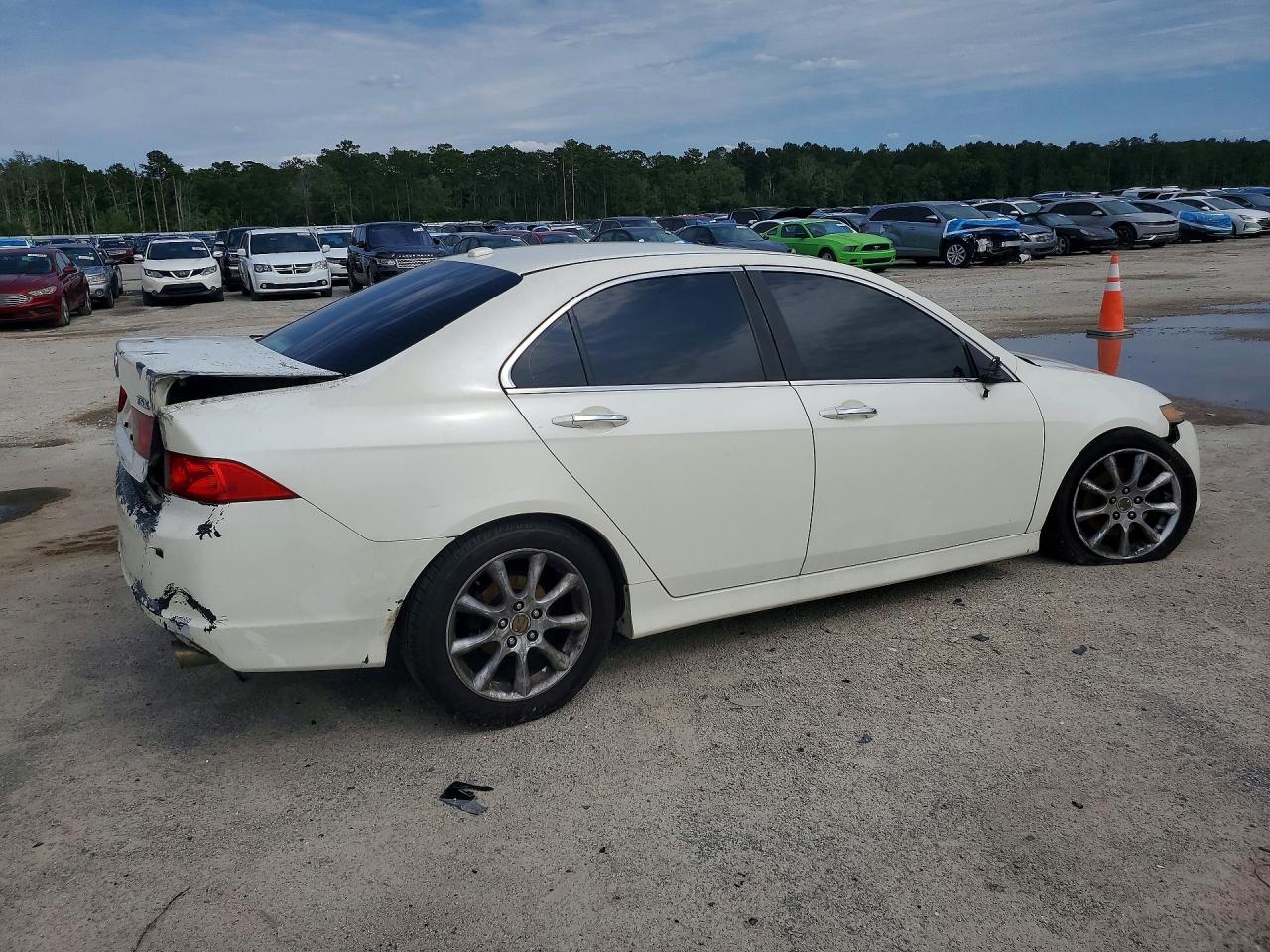 2006 Acura Tsx White vin: JH4CL96996C022227