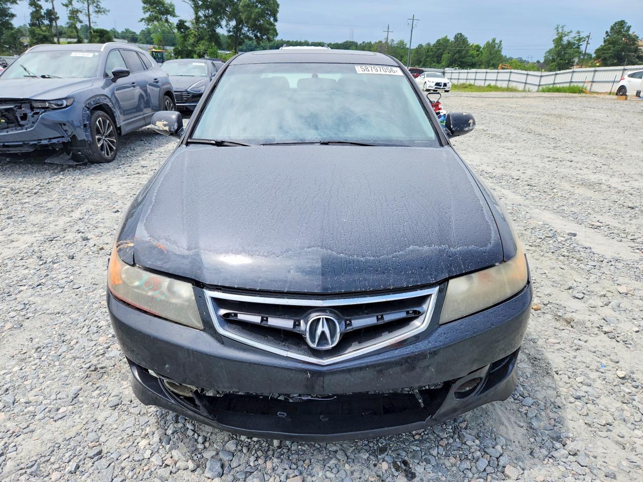 2006 Acura Tsx Black vin: JH4CL969X6C037240