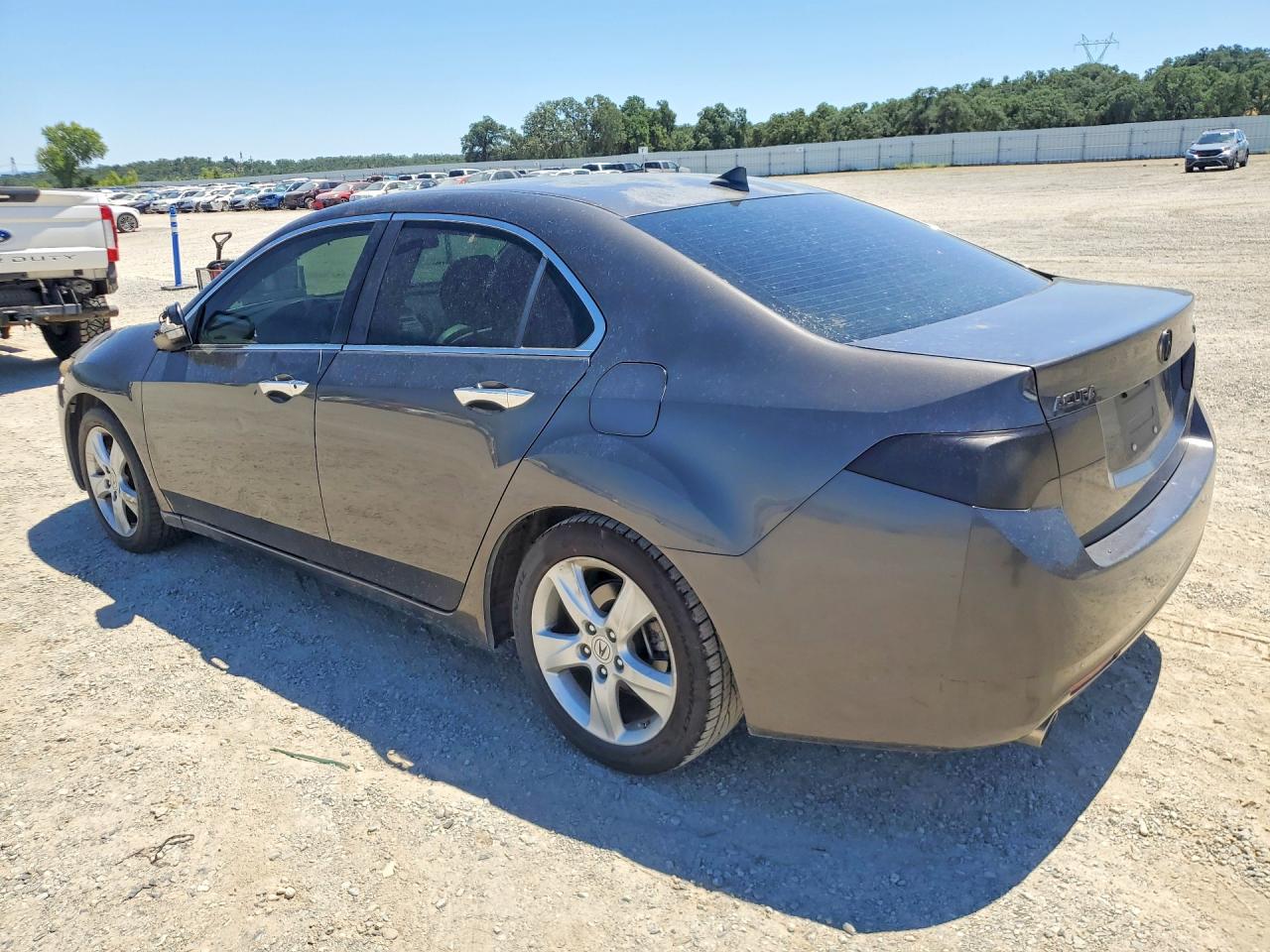 2009 Acura Tsx Gray vin: JH4CU25649C020465