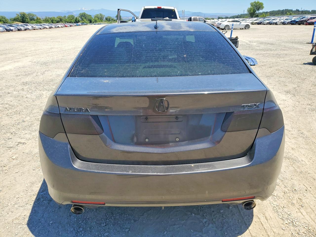2009 Acura Tsx Gray vin: JH4CU25649C020465