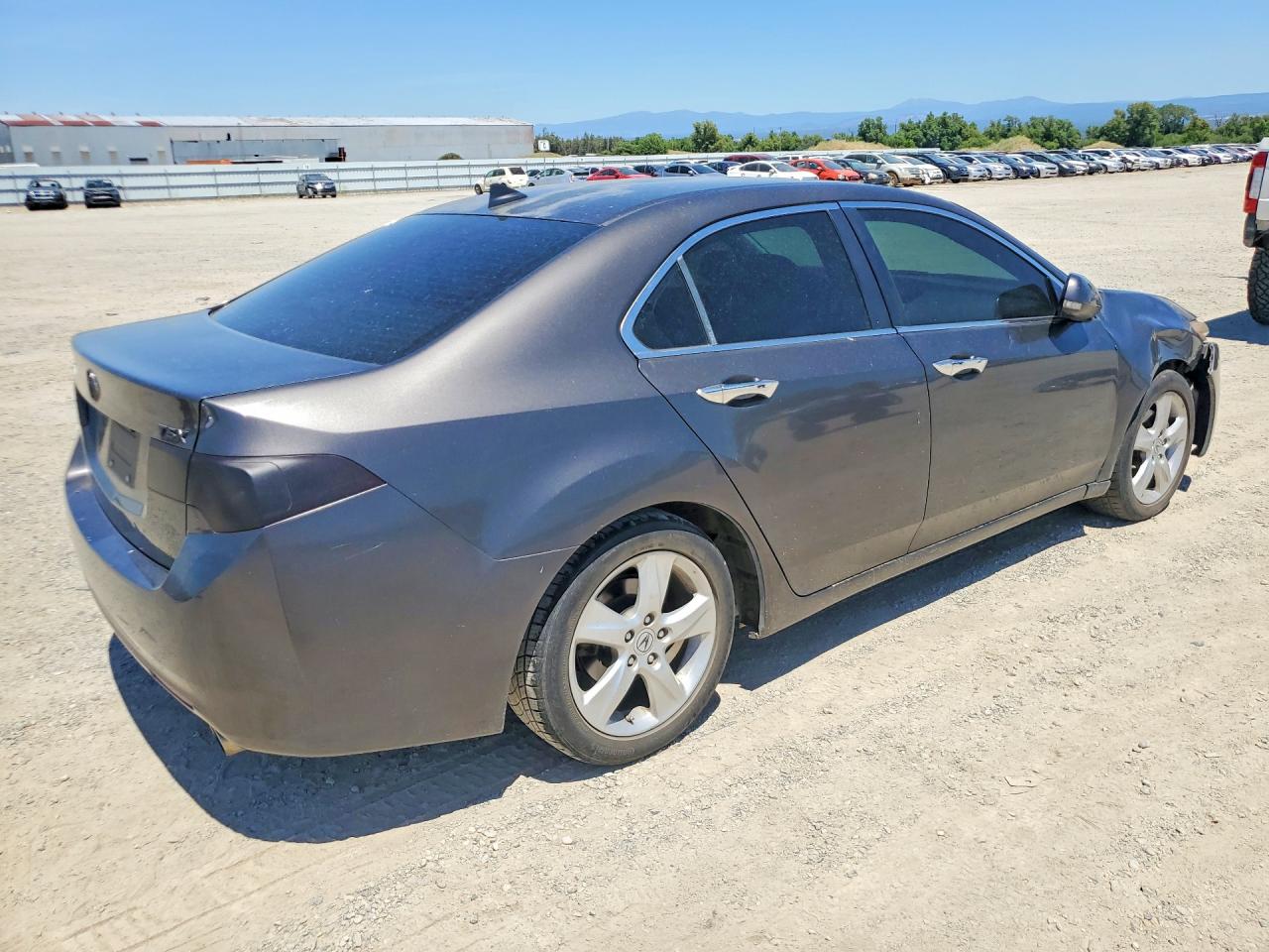 2009 Acura Tsx Gray vin: JH4CU25649C020465