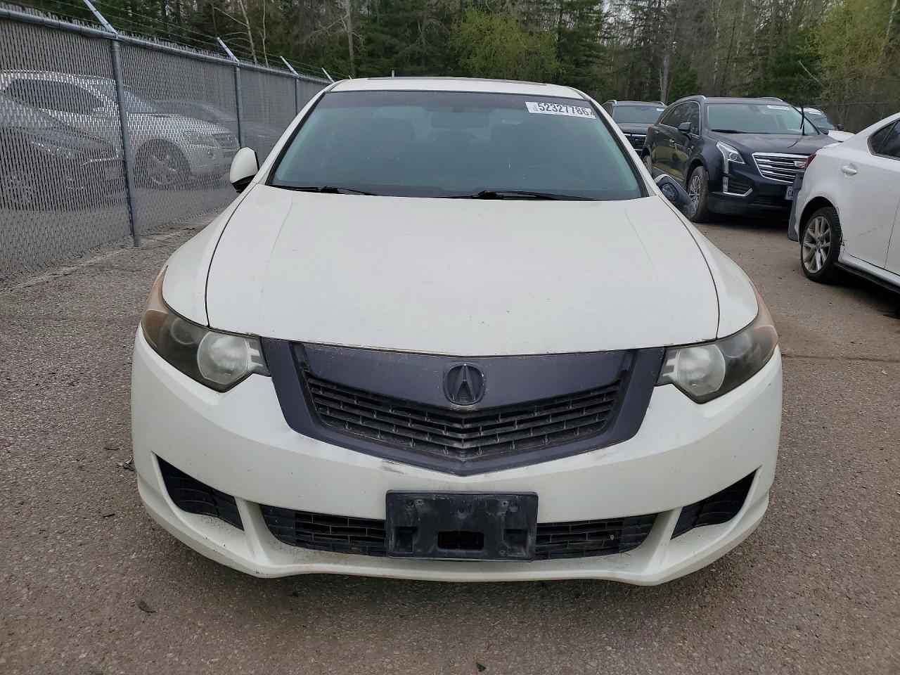 2009 Acura Tsx White vin: JH4CU26419C803188