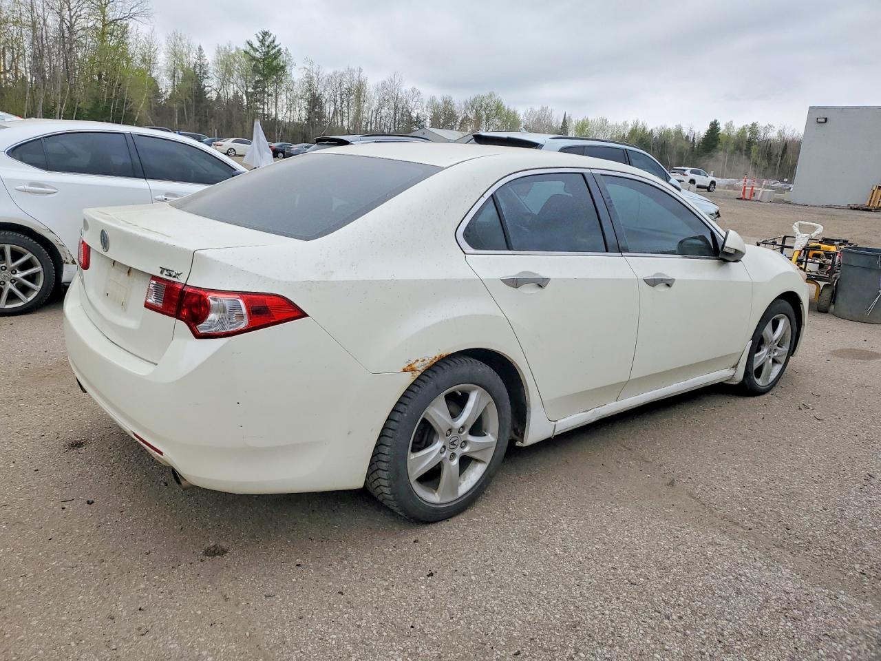 2009 Acura Tsx White vin: JH4CU26419C803188