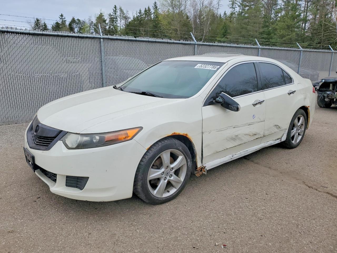 2009 Acura Tsx White vin: JH4CU26419C803188
