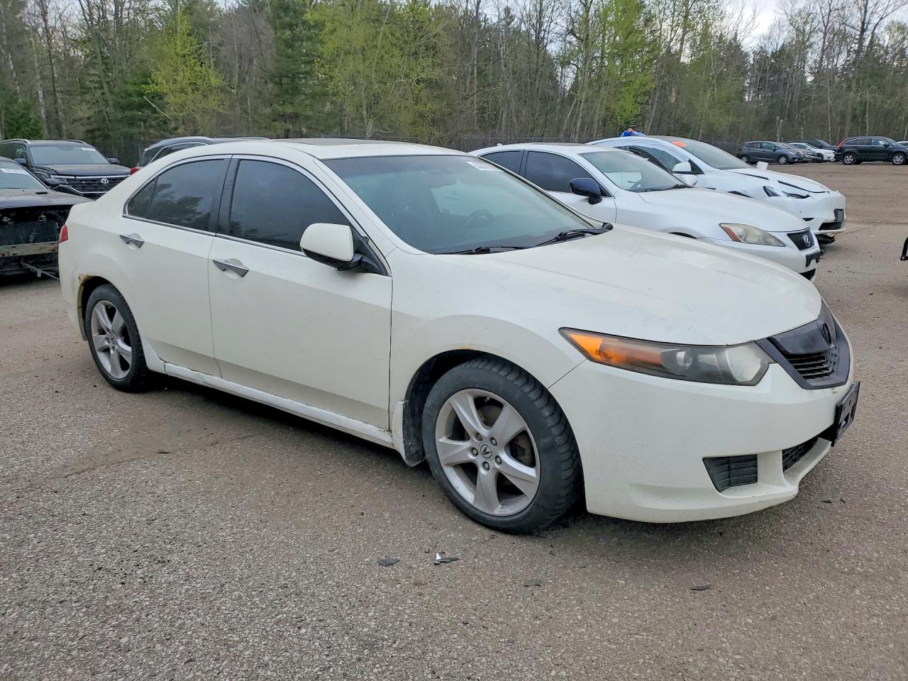 2009 Acura Tsx White vin: JH4CU26419C803188