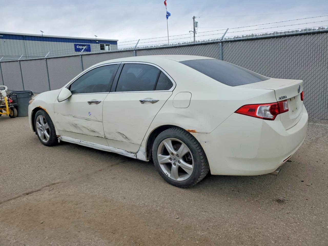2009 Acura Tsx White vin: JH4CU26419C803188