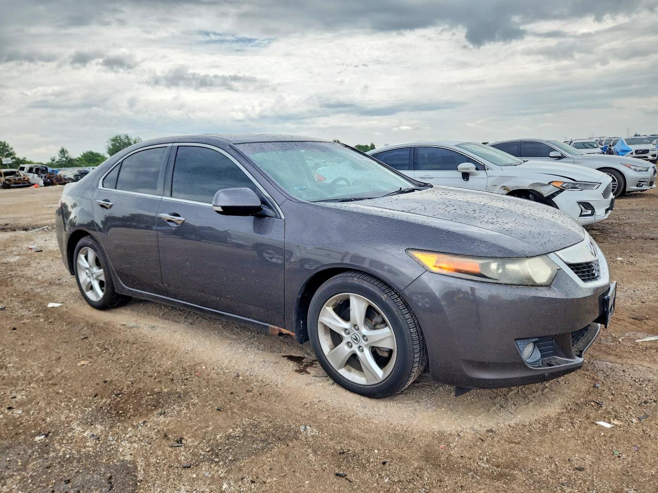 2009 Acura Tsx Gray vin: JH4CU26609C001944