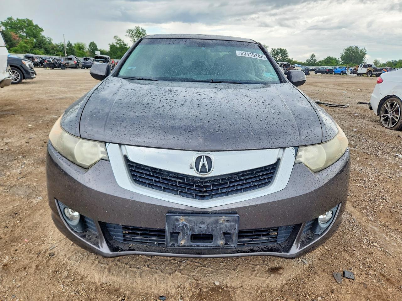 2009 Acura Tsx Gray vin: JH4CU26609C001944