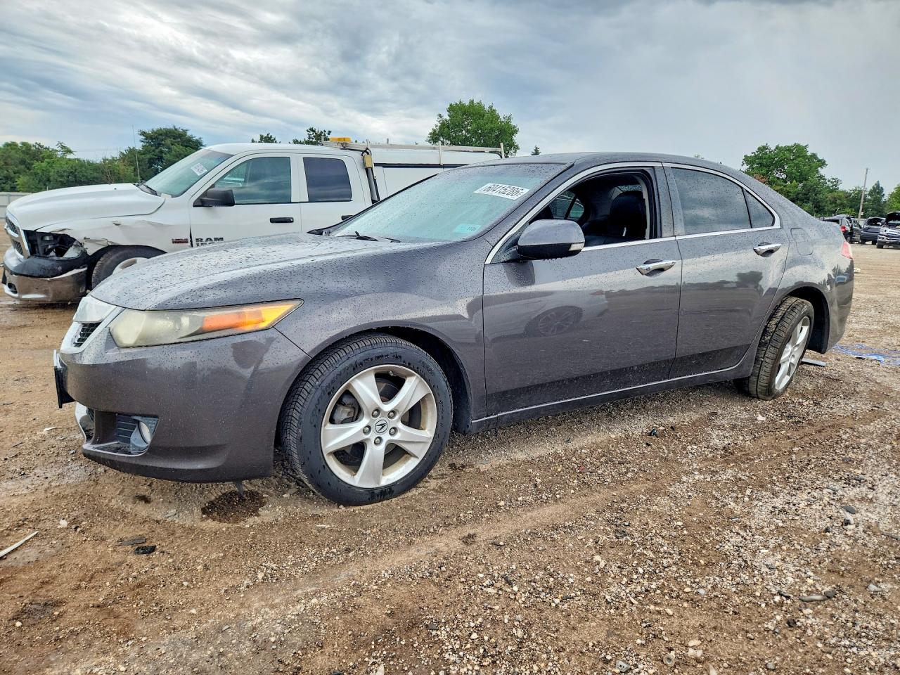 2009 Acura Tsx Gray vin: JH4CU26609C001944