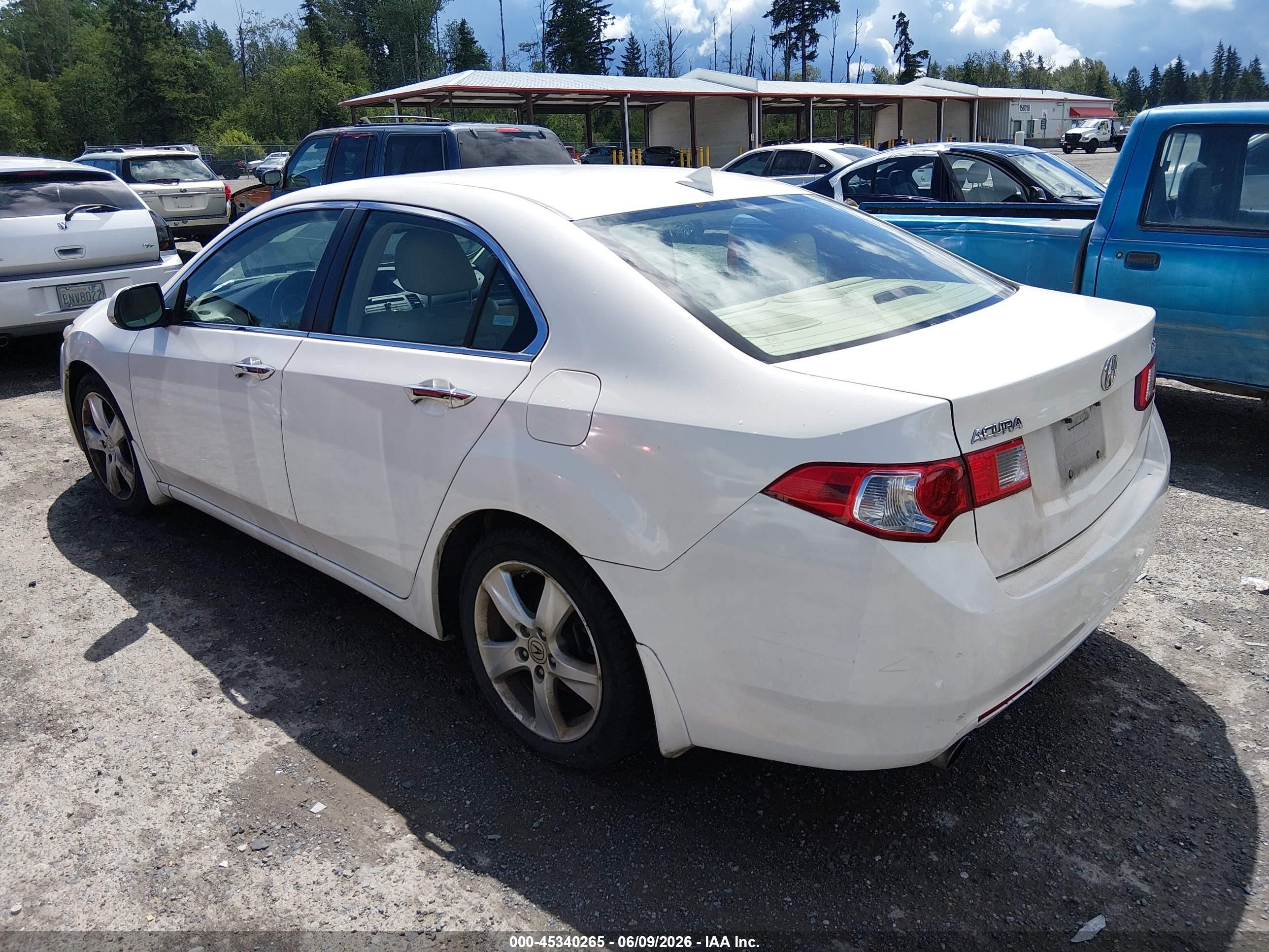 2009 Acura Tsx   White vin: JH4CU26609C008134