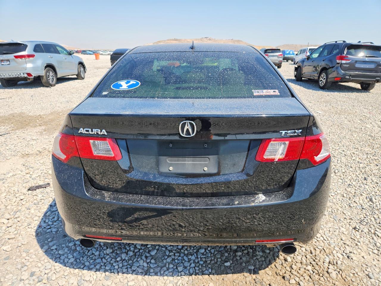 2009 Acura Tsx Black vin: JH4CU26609C010692
