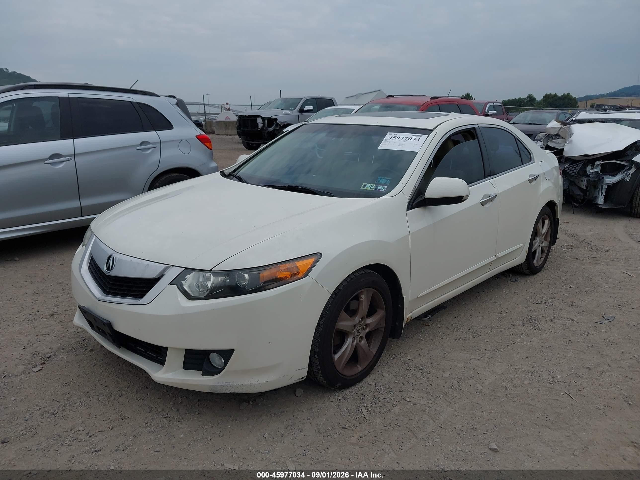 2009 Acura Tsx   White vin: JH4CU26619C006828