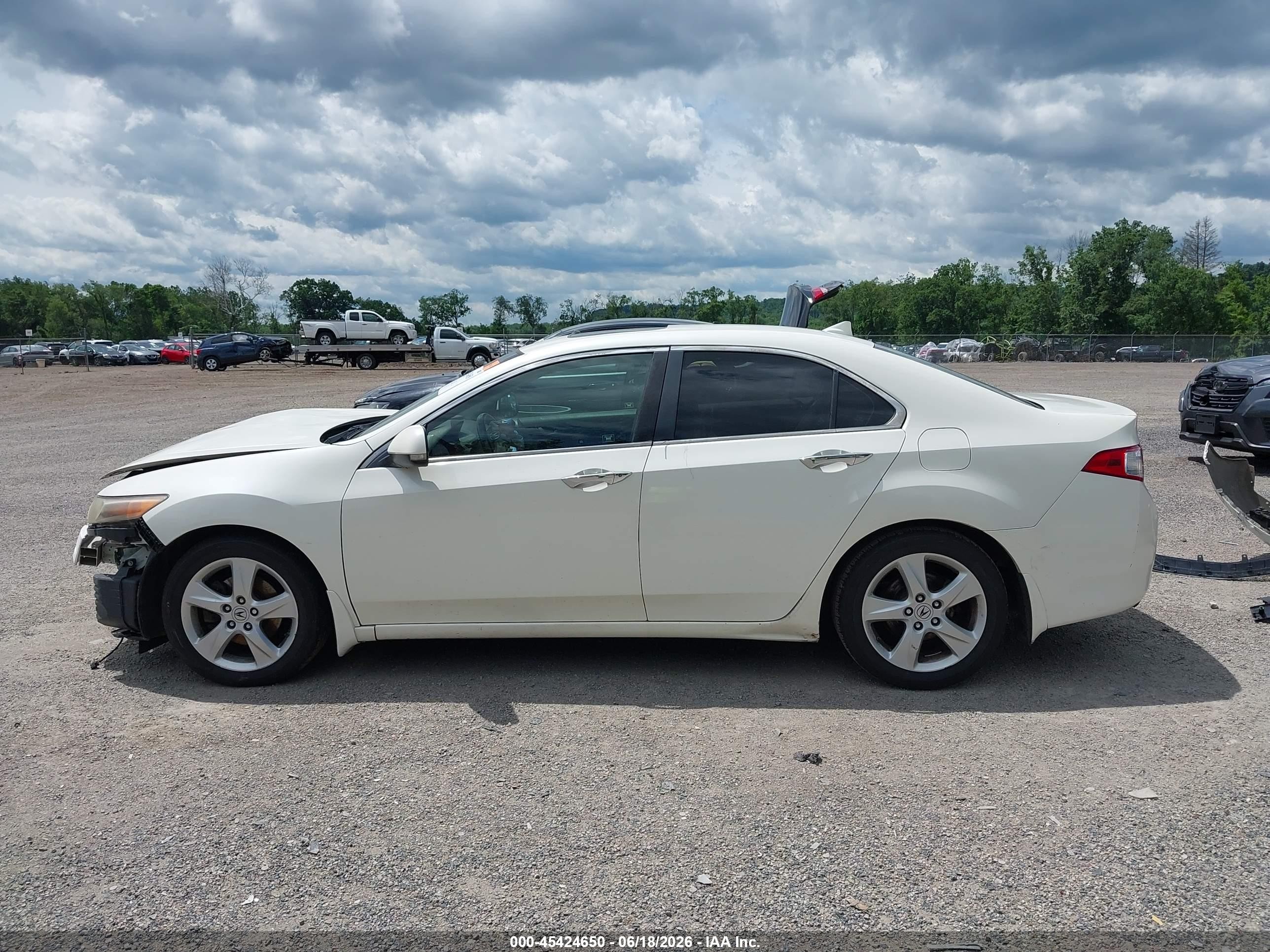 2009 Acura Tsx   White vin: JH4CU26629C027266