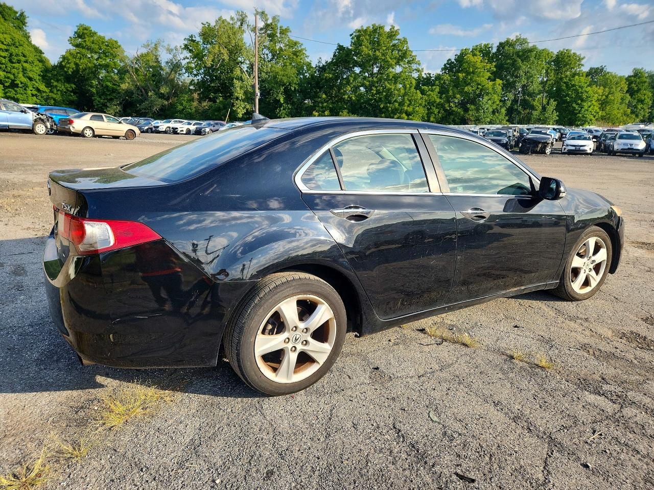 2009 Acura Tsx Black vin: JH4CU26629C036033
