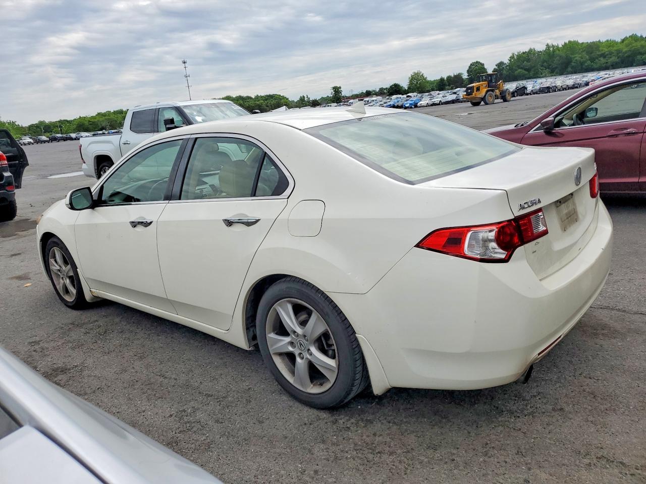 2009 Acura Tsx White vin: JH4CU26639C006877