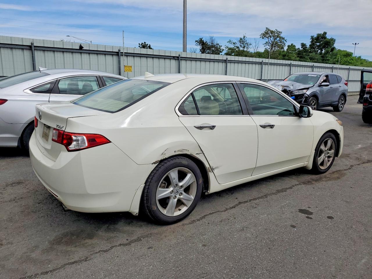 2009 Acura Tsx White vin: JH4CU26639C006877