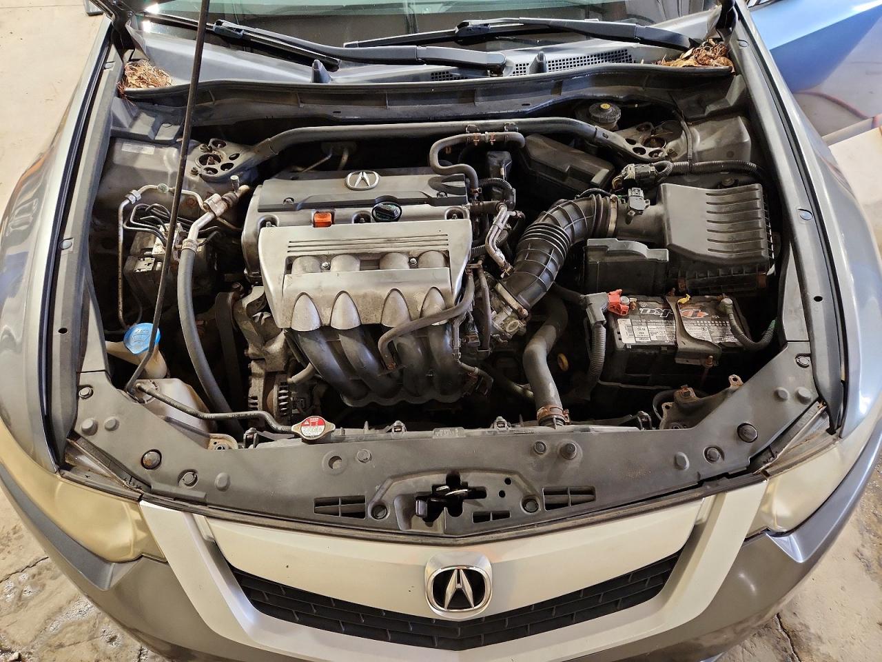2009 Acura Tsx Gray vin: JH4CU26639C023744