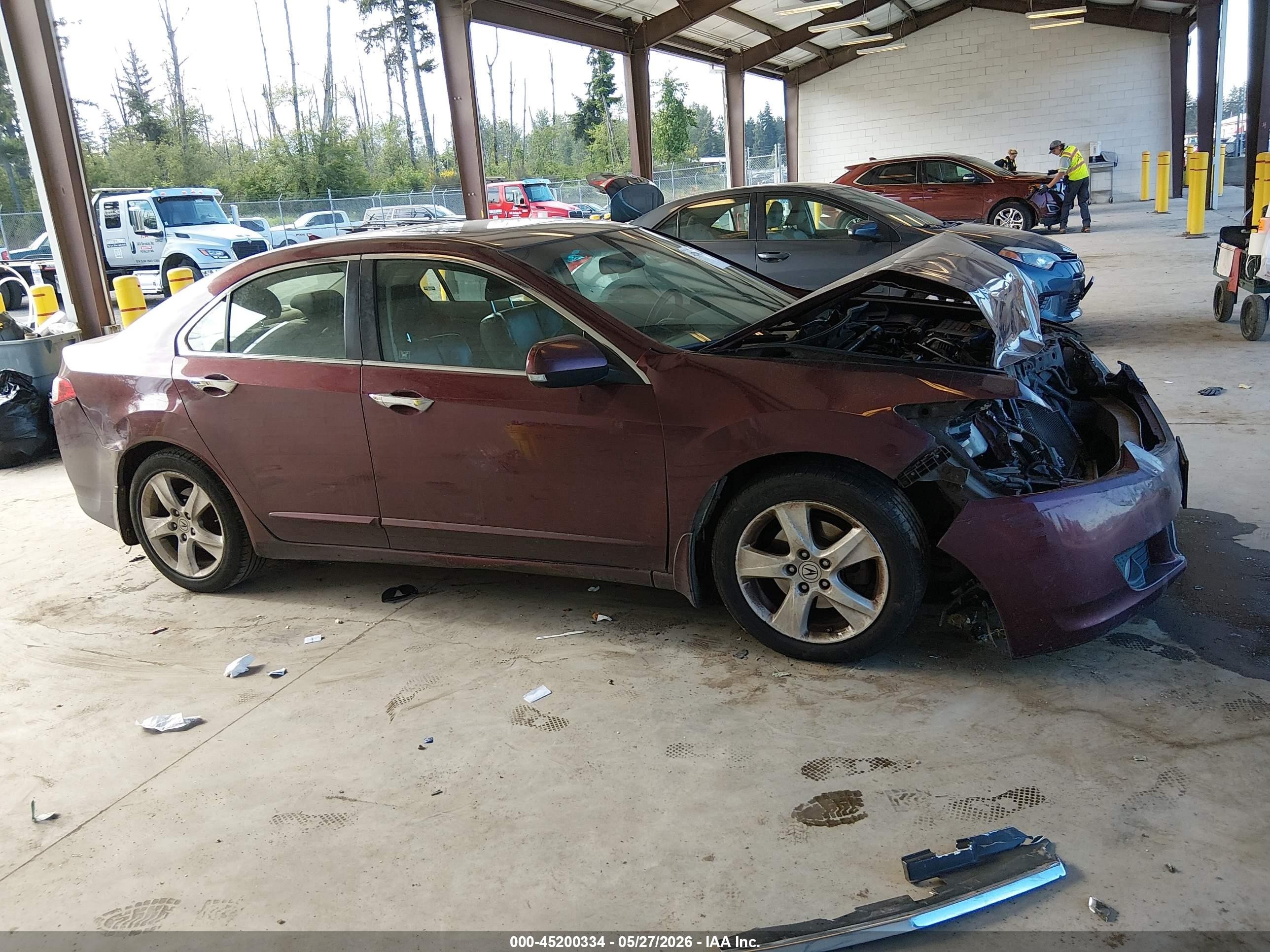 2009 Acura Tsx   Burgundy vin: JH4CU26639C025851
