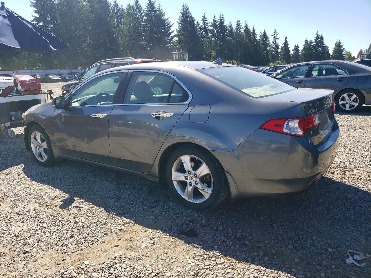 2009 Acura Tsx Серый vin: JH4CU26649C031500