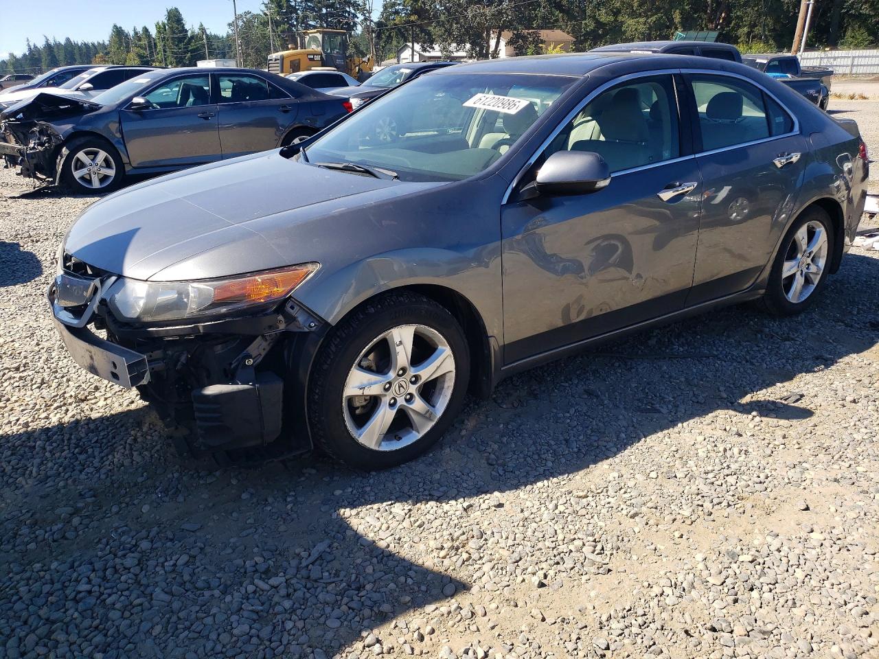 2009 Acura Tsx Серый vin: JH4CU26649C031500