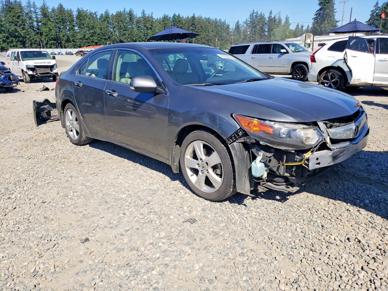 2009 Acura Tsx Серый vin: JH4CU26649C031500