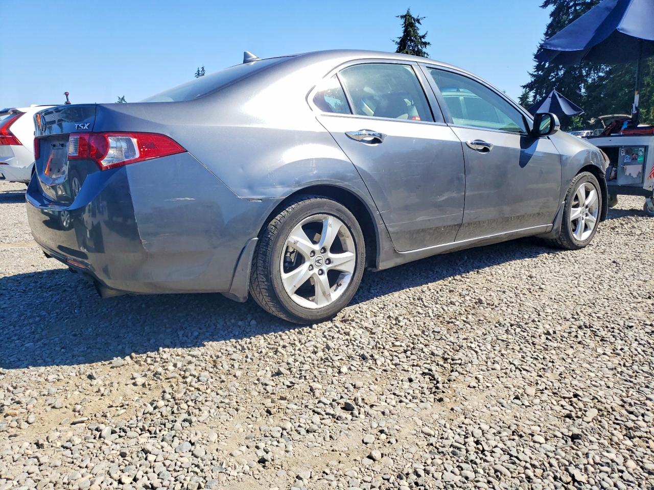 2009 Acura Tsx Серый vin: JH4CU26649C031500
