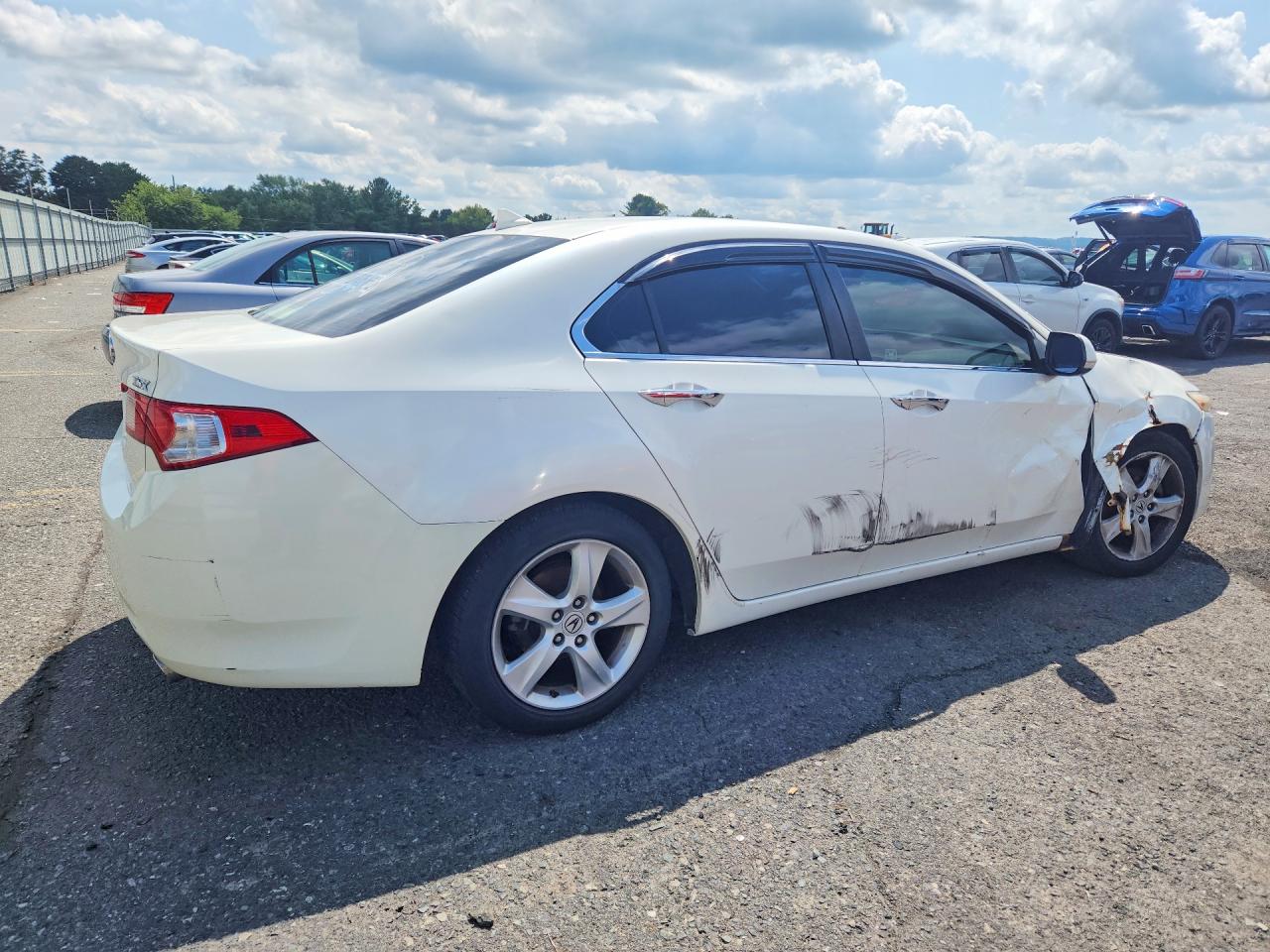 2009 Acura Tsx White vin: JH4CU26659C012261