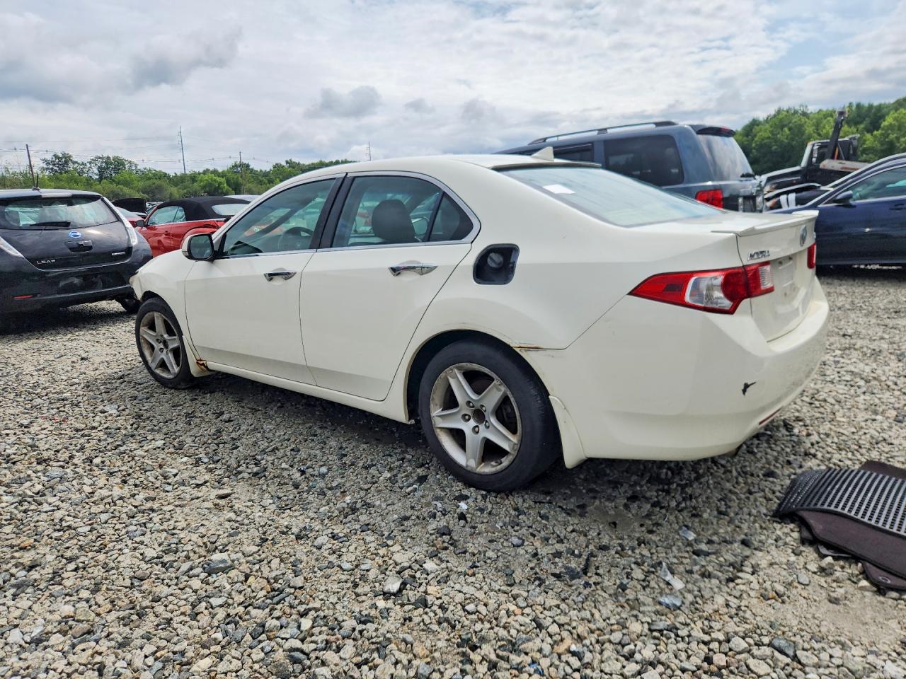 2009 Acura Tsx White vin: JH4CU26659C013684
