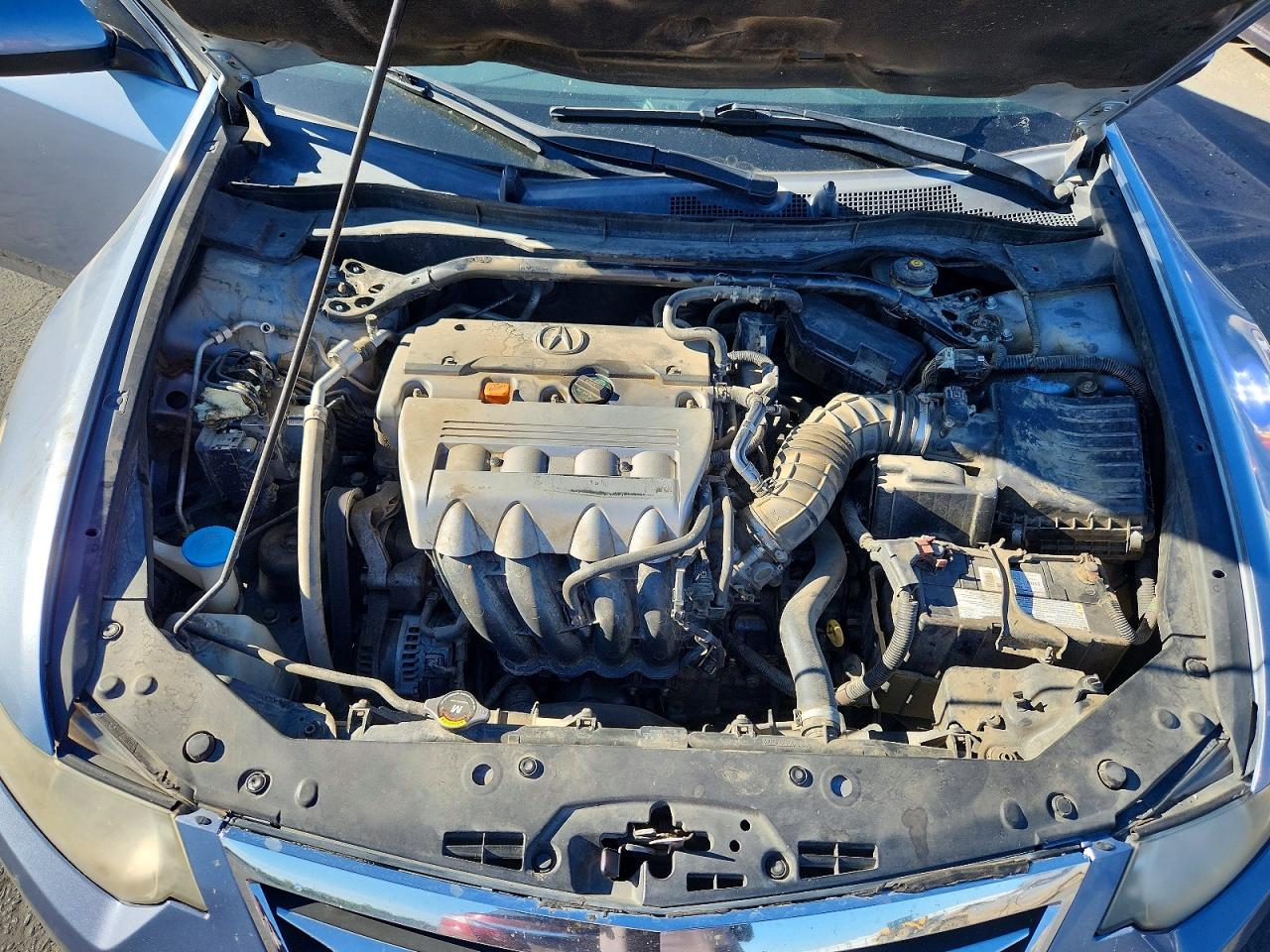 2009 Acura Tsx Blue vin: JH4CU26659C025057