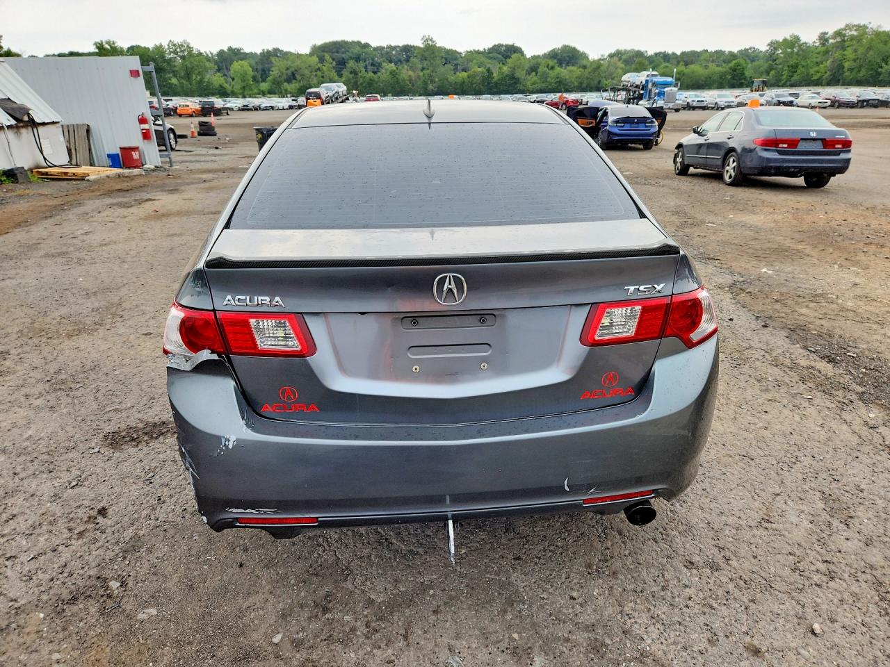 2009 Acura Tsx Gray vin: JH4CU26659C029335