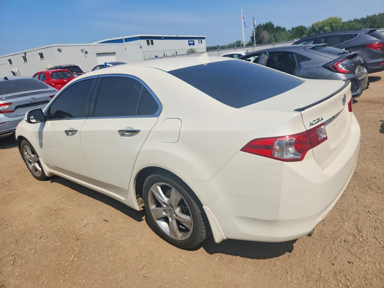 2009 Acura Tsx White vin: JH4CU26659C802661