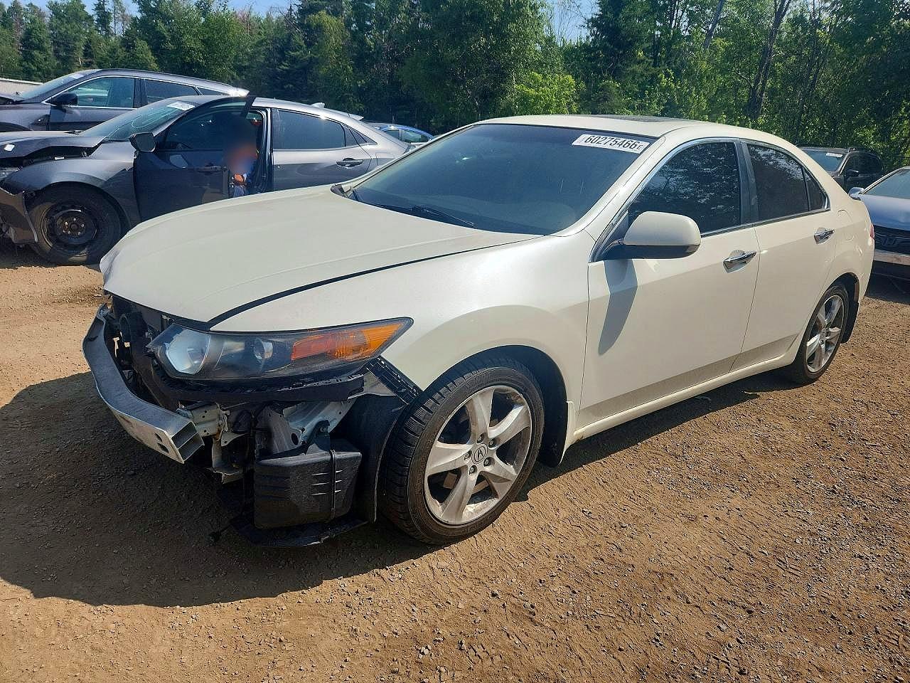 2009 Acura Tsx White vin: JH4CU26659C802661