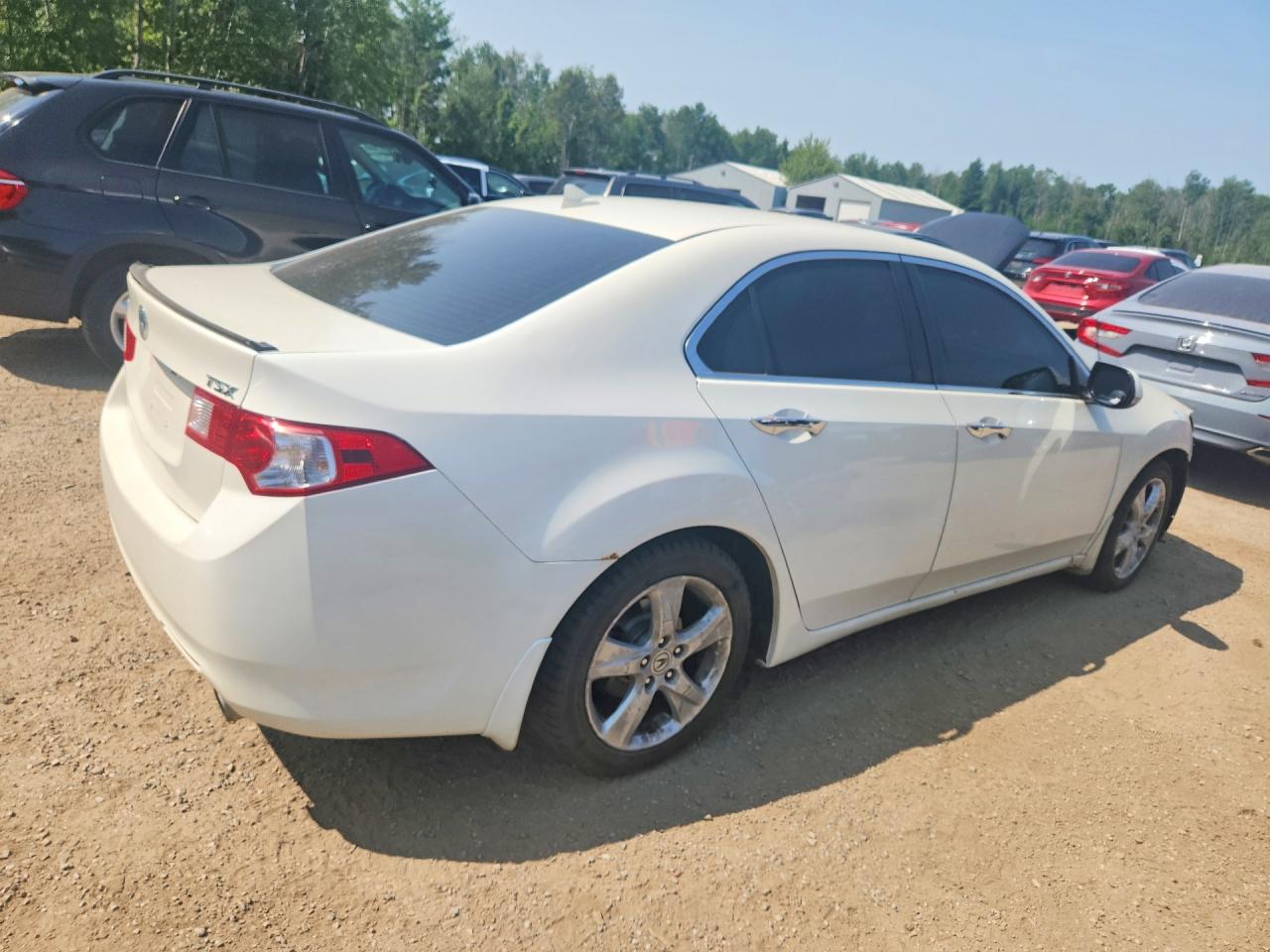 2009 Acura Tsx White vin: JH4CU26659C802661