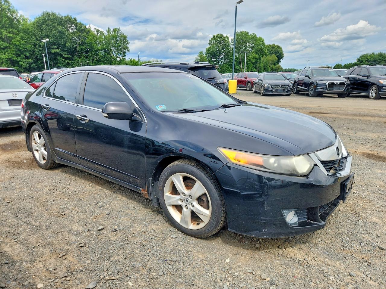 2009 Acura Tsx Black vin: JH4CU26669C003990