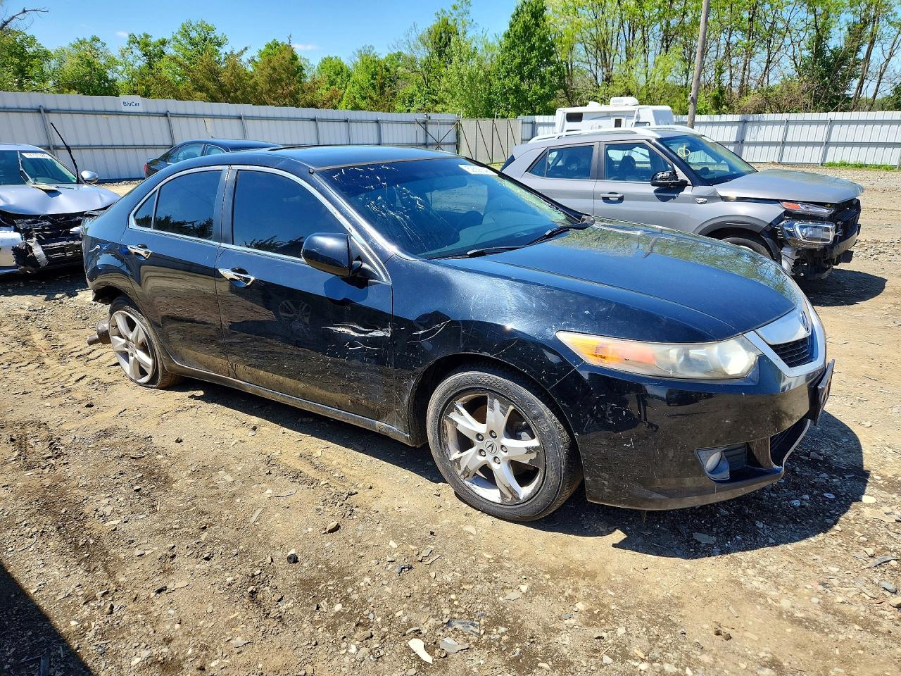 2009 Acura Tsx Black vin: JH4CU26669C005917