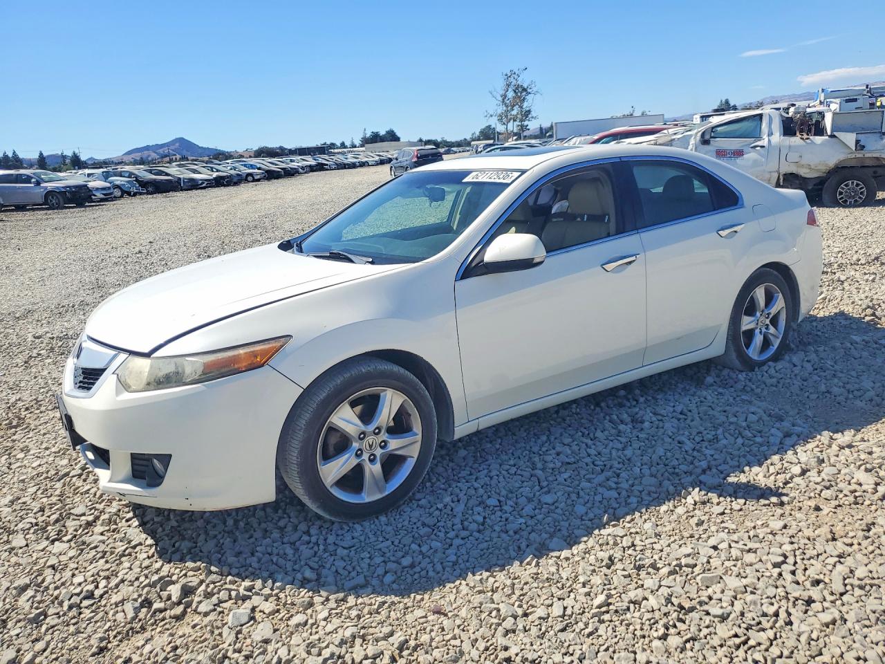 2009 Acura Tsx Белый vin: JH4CU26669C016447