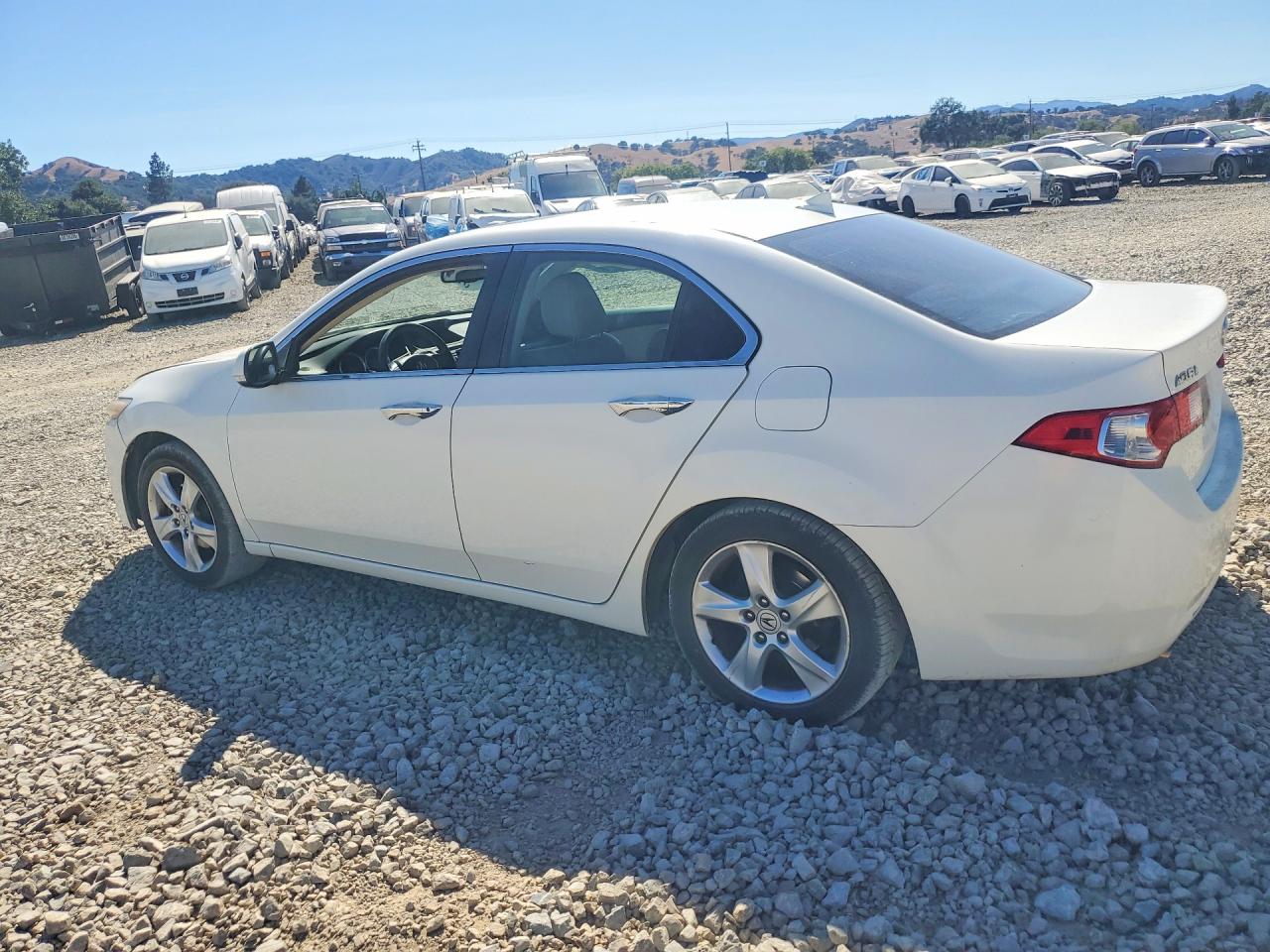 2009 Acura Tsx White vin: JH4CU26669C016447