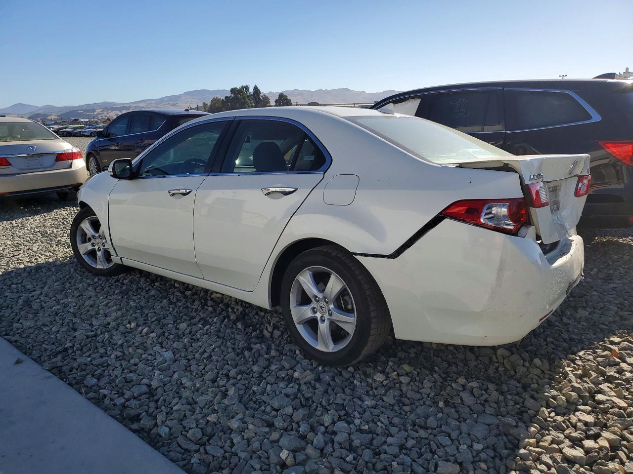 2009 Acura Tsx White vin: JH4CU26669C021924