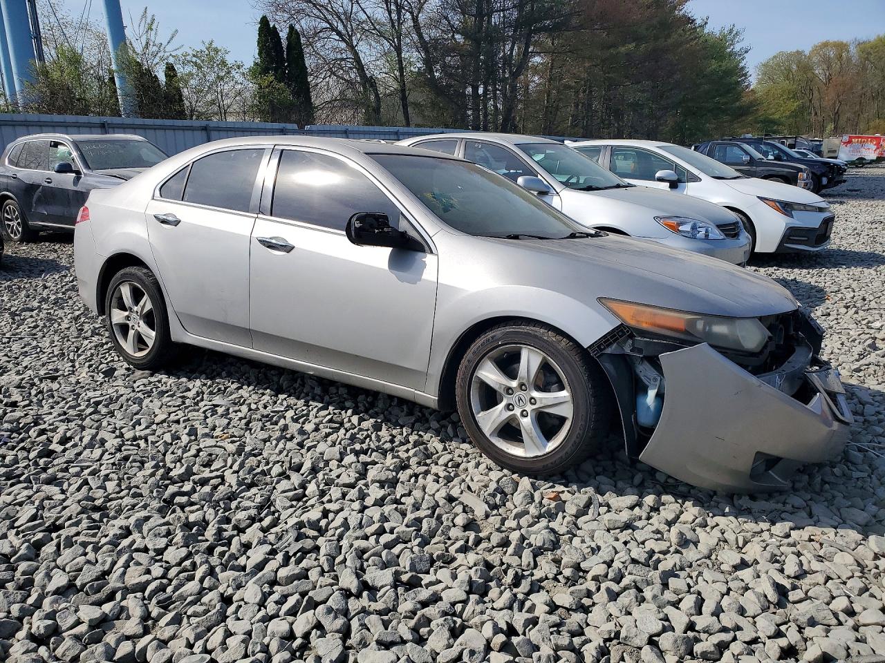 2009 Acura Tsx Silver vin: JH4CU26669C030655