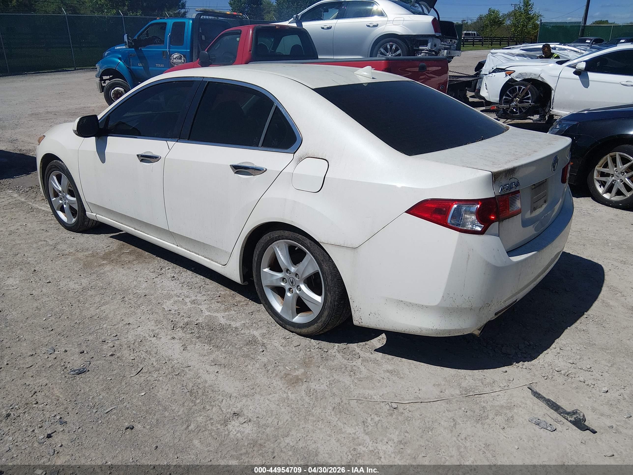 2009 Acura Tsx   White vin: JH4CU26679C036898