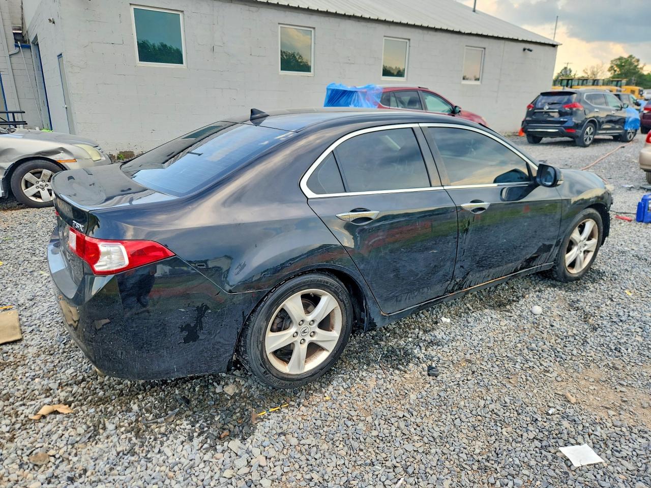 2009 Acura Tsx Black vin: JH4CU26689C007023