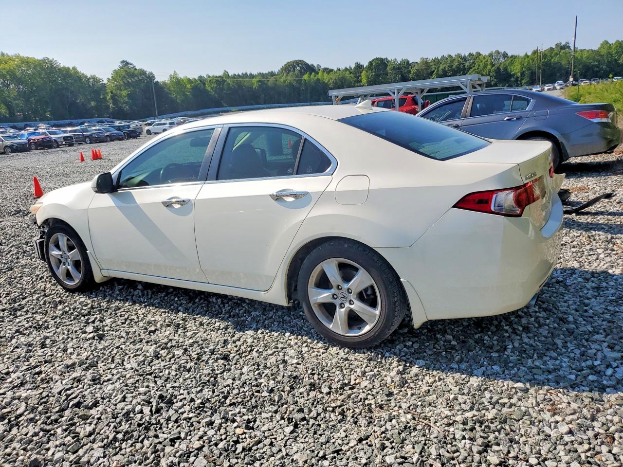 2009 Acura Tsx White vin: JH4CU26689C026252