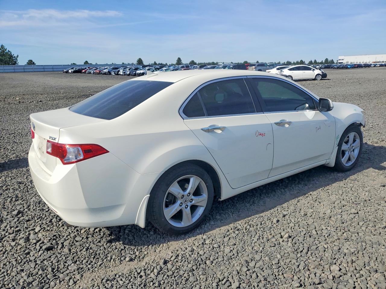 2009 Acura Tsx White vin: JH4CU26699C028494