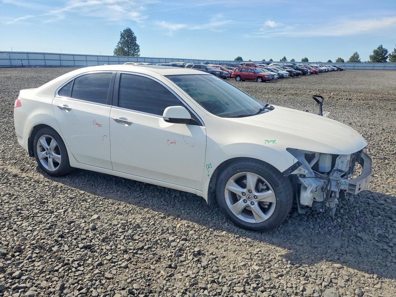 2009 Acura Tsx White vin: JH4CU26699C028494